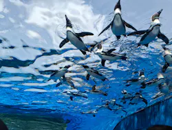 サンシャイン水族館に投稿された画像（2026/4/25）