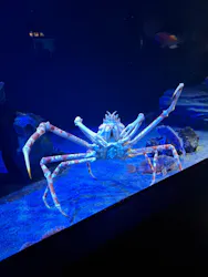 サンシャイン水族館に投稿された画像（2026/4/25）