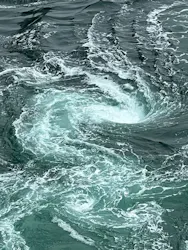 徳島県立 渦の道に投稿された画像（2026/4/25）