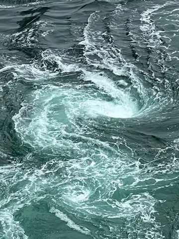 徳島県立 渦の道の口コミ ｜渦潮のよく見える春でしかも大潮｜アソビュー！