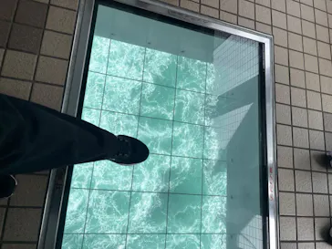 徳島県立 渦の道に投稿された画像（2026/4/25）