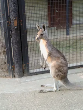 こども動物自然公園（埼玉県公園緑地協会）に投稿された画像（2026/4/25）
