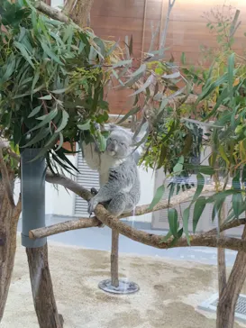 こども動物自然公園（埼玉県公園緑地協会）に投稿された画像（2026/4/25）