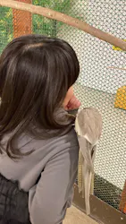 アニタッチ 東京ドームシティに投稿された画像（2026/4/25）