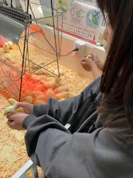 アニタッチ 東京ドームシティに投稿された画像（2026/4/25）