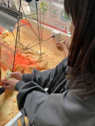 アニタッチ 東京ドームシティに投稿された画像（2026/4/25）