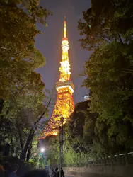 東京タワーに投稿された画像（2026/4/25）