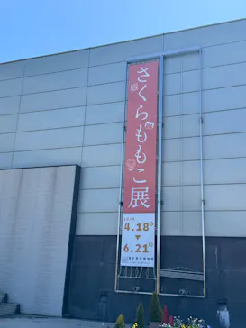 さくらももこ展（東北歴史博物館）に投稿された画像（2026/4/25）