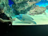 サンシャイン水族館に投稿された画像（2026/4/26）