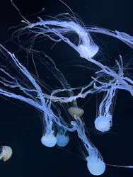 サンシャイン水族館に投稿された画像（2026/4/25）