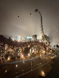 福井県立恐竜博物館に投稿された画像（2026/4/25）