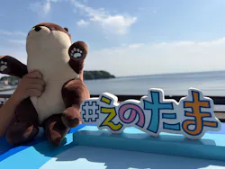 新江ノ島水族館に投稿された画像（2026/4/25）