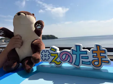 新江ノ島水族館に投稿された画像（2026/4/25）