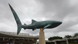 沖縄美ら海水族館に投稿された画像（2026/4/25）