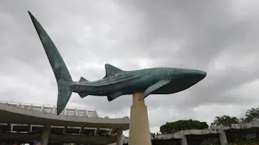 沖縄美ら海水族館に投稿された画像（2026/4/25）