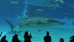 沖縄美ら海水族館に投稿された画像（2026/4/25）