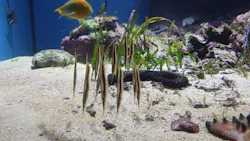 沖縄美ら海水族館に投稿された画像（2026/4/25）