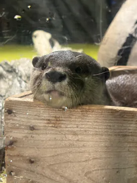 竹島水族館に投稿された画像（2026/4/25）