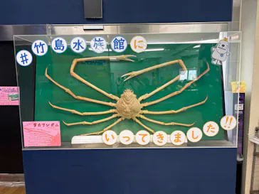 竹島水族館に投稿された画像（2026/4/25）