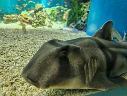 マクセル アクアパーク品川に投稿された画像（2026/4/26）