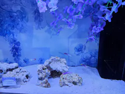 マクセル アクアパーク品川に投稿された画像（2026/4/26）