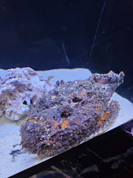 マクセル アクアパーク品川に投稿された画像（2026/4/26）