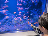 竹島水族館に投稿された画像（2026/4/26）