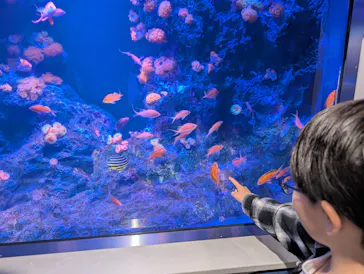 竹島水族館に投稿された画像（2026/4/26）