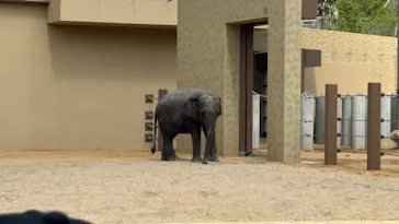 天王寺動物園に投稿された画像（2026/4/26）