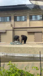 天王寺動物園に投稿された画像（2026/4/26）