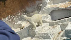 天王寺動物園に投稿された画像（2026/4/26）