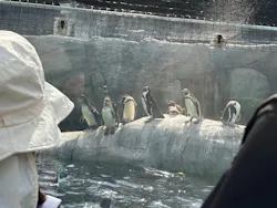 天王寺動物園に投稿された画像（2026/4/26）