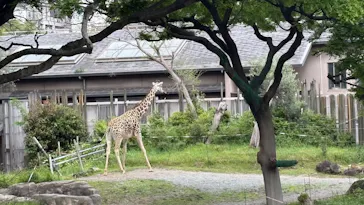 天王寺動物園に投稿された画像（2026/4/26）