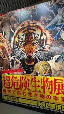 特別展「超危険生物展　科学で挑む生き物の本気」に投稿された画像（2026/4/26）