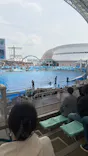 名古屋港水族館に投稿された画像（2026/4/26）