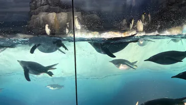 名古屋港水族館に投稿された画像（2026/4/26）