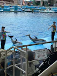名古屋港水族館に投稿された画像（2026/4/26）