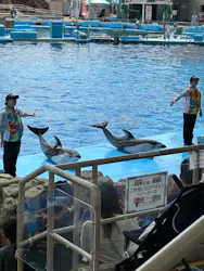 名古屋港水族館に投稿された画像（2026/4/26）
