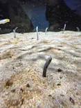 AQUARIUM × ART　atoaに投稿された画像（2026/4/26）