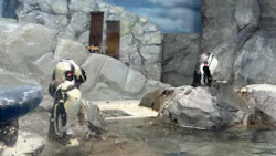 新江ノ島水族館に投稿された画像（2026/4/26）