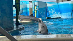 新江ノ島水族館に投稿された画像（2026/4/26）