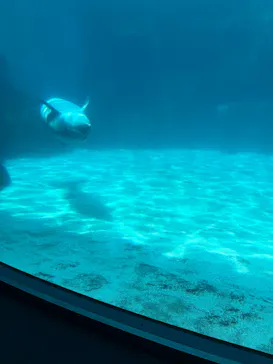 名古屋港水族館に投稿された画像（2026/4/26）