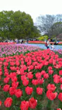 万博記念公園に投稿された画像（2026/4/26）