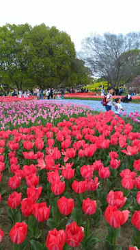 万博記念公園に投稿された画像（2026/4/26）