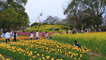 万博記念公園に投稿された画像（2026/4/26）