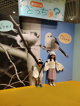 ミュージアムパーク茨城県自然博物館に投稿された画像（2026/4/26）