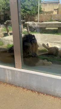 東武動物公園に投稿された画像（2026/4/26）