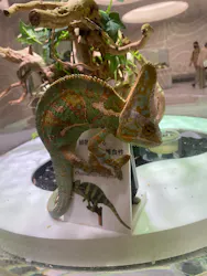 NIFREL（ニフレル）に投稿された画像（2026/4/26）