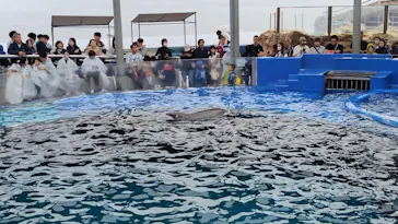 大分マリーンパレス水族館 「うみたまご」に投稿された画像（2026/4/26）