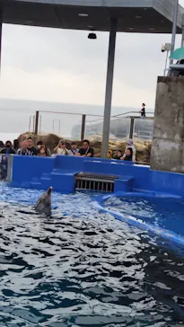 大分マリーンパレス水族館 「うみたまご」に投稿された画像（2026/4/26）